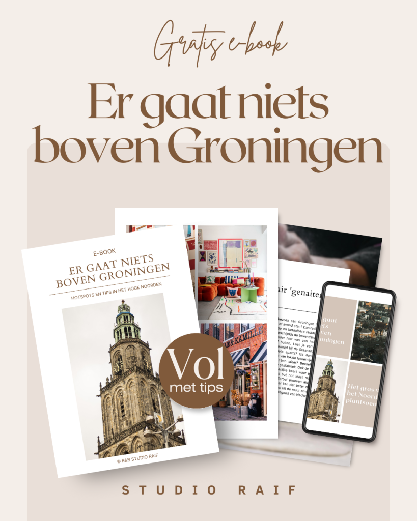 Download je gratis ebook over Groningen